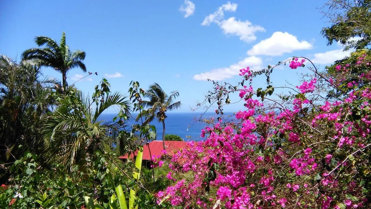 **** Guest house Amour Deshaies Guadeloupe